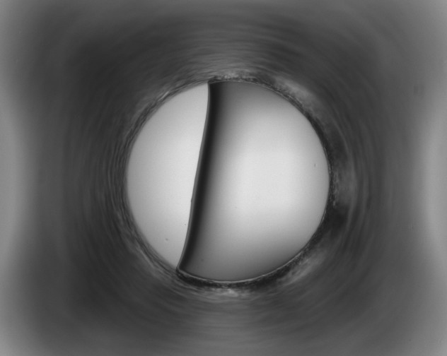 X0000085260453200703090858