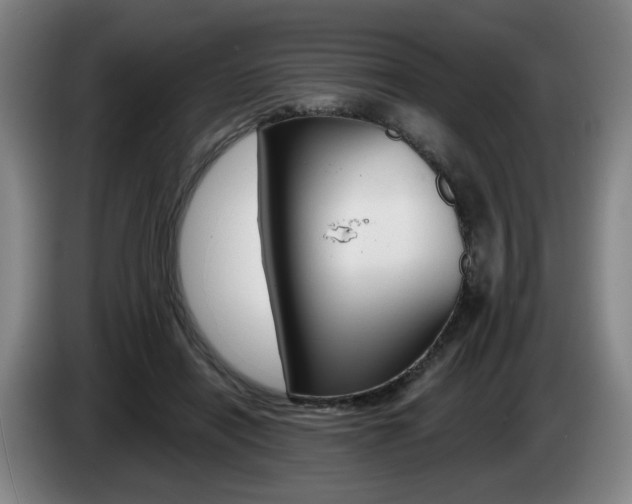 X0000085260454200703090858