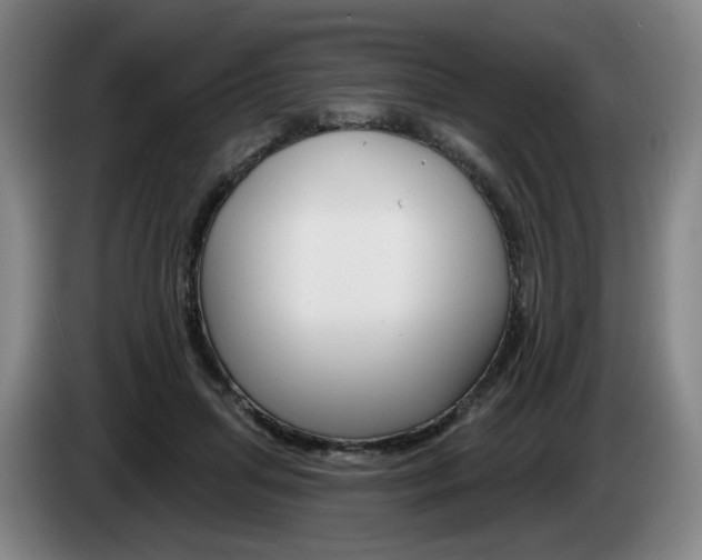 X0000085260455200703090858