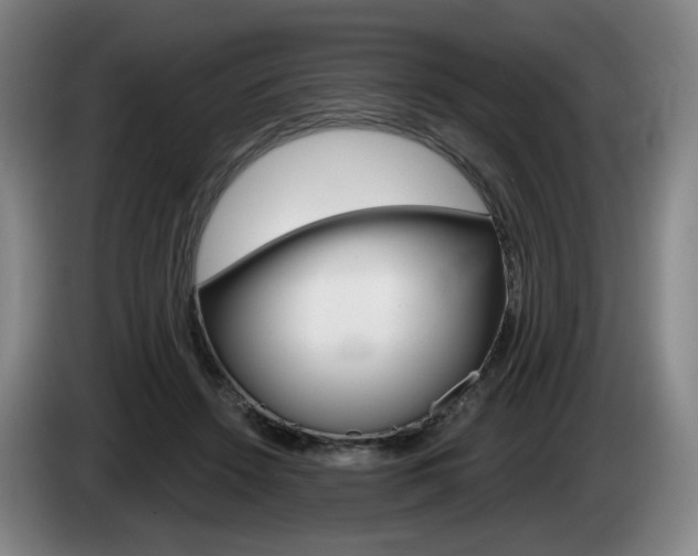 X0000085260456200703090858