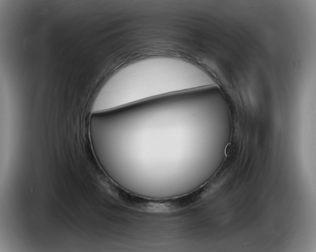 X0000085260457200703090858