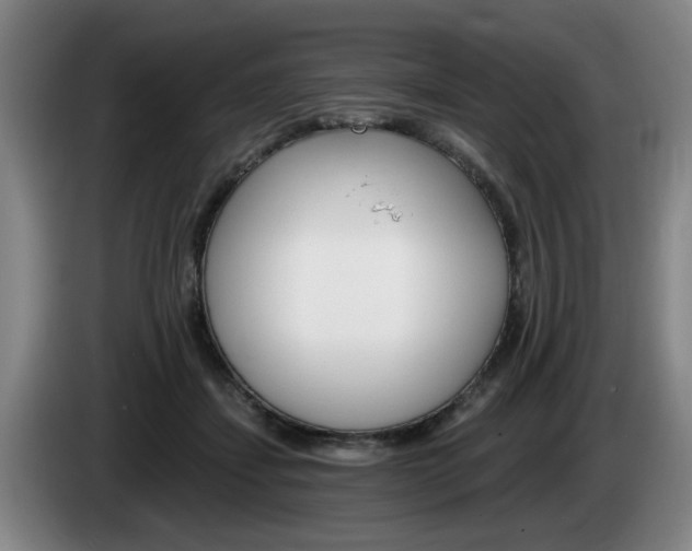 X0000085260459200703090858