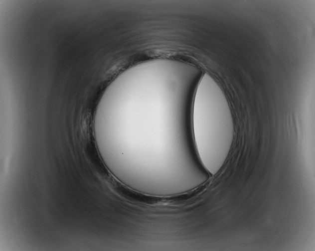 X0000085260460200703090858