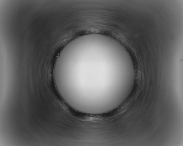 X0000085260466200703090858