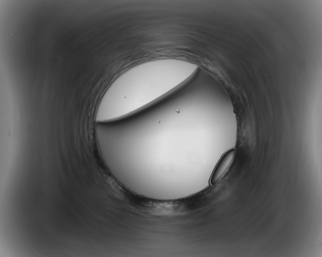 X0000085260473200703090858