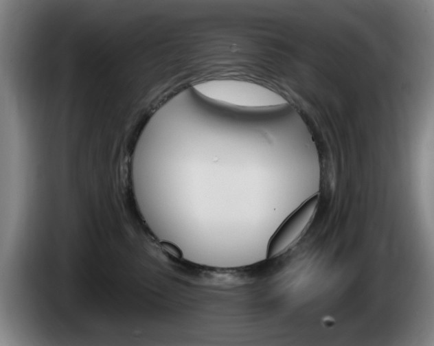 X0000085260475200703090858