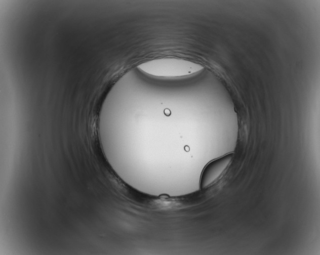 X0000085260477200703090858