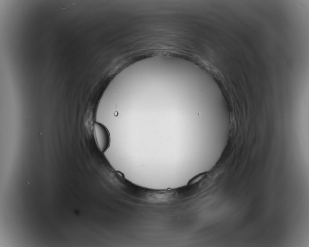 X0000085260479200703090859