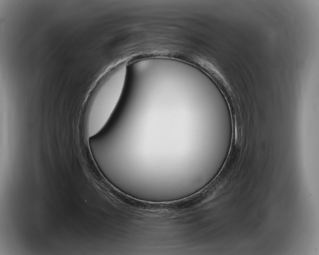 X0000085260483200703090858