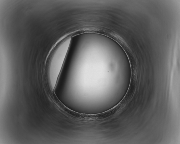 X0000085260484200703090858