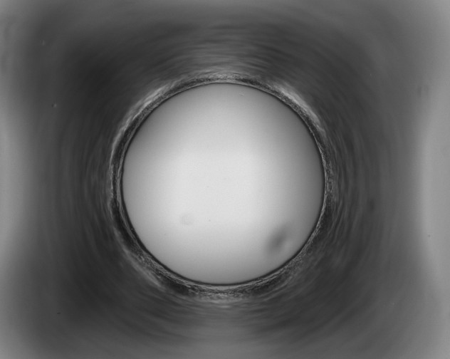 X0000085260486200703090858