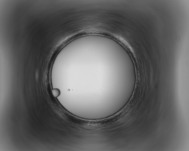 X0000085260487200703090858