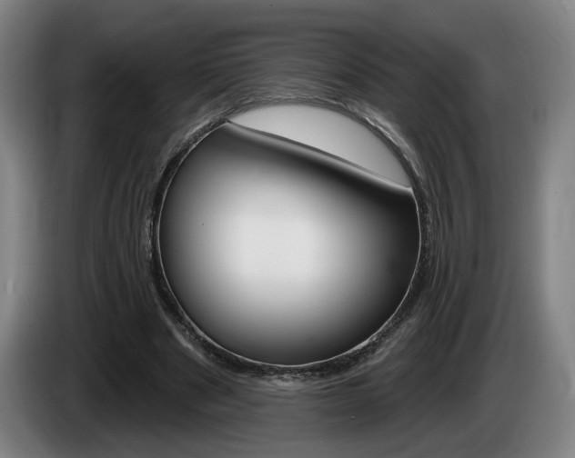 X0000085260489200703090858