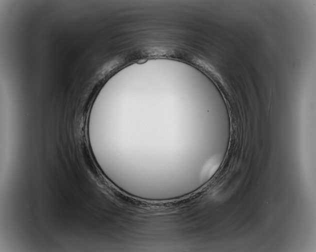 X0000085260490200703090858