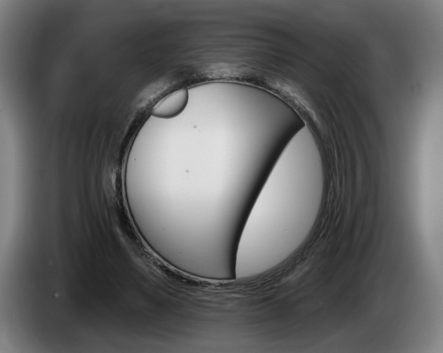 X0000085260491200703090858