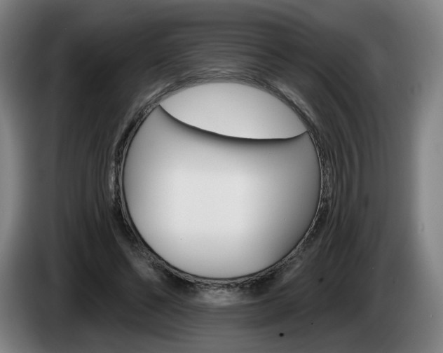 X0000085260494200703090858