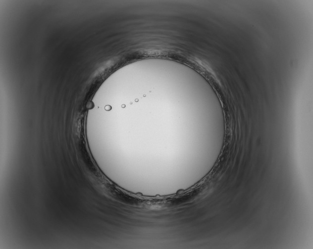 X0000085260495200703090858