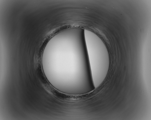 X0000085260496200703090858