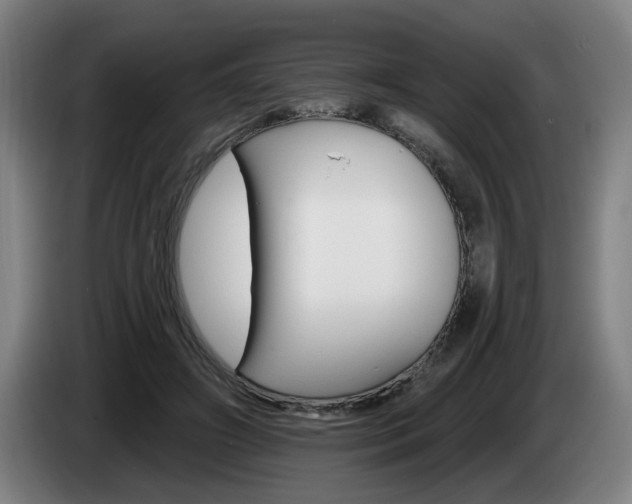 X0000085260498200703090858