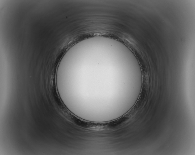 X0000085260499200703090858