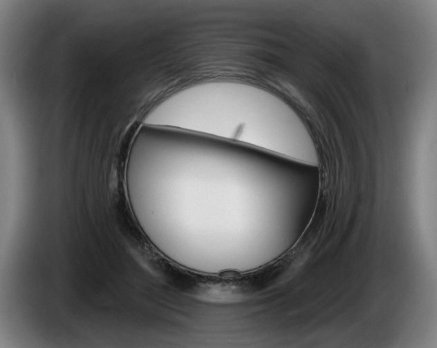 X0000085260500200703090858