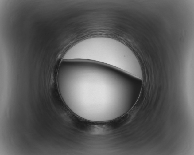 X0000085260508200703090858