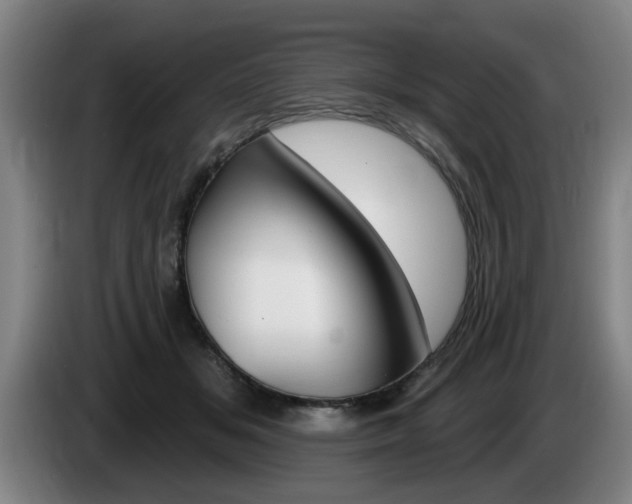 X0000085260509200703090857