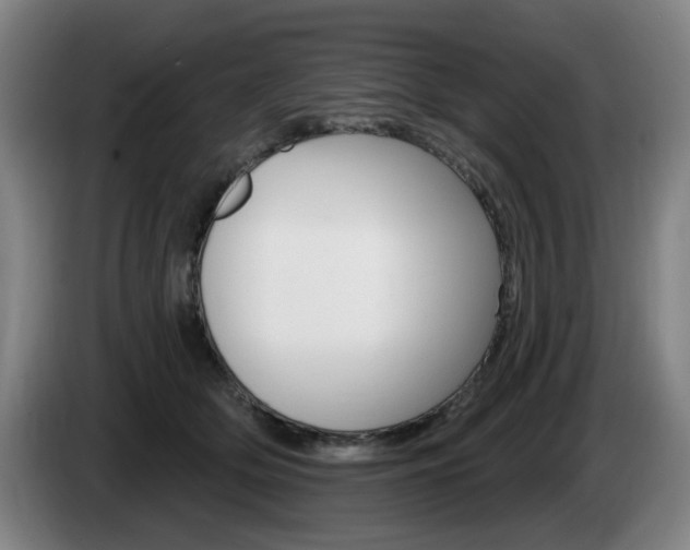 X0000085260514200703090857