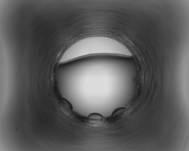 X0000085260516200703090857