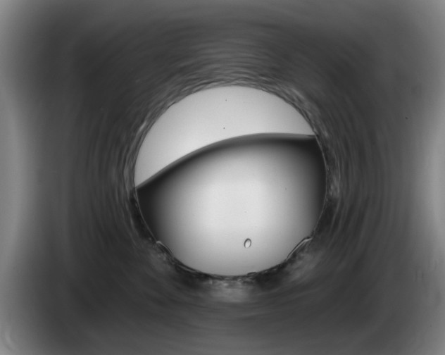 X0000085260524200703090857