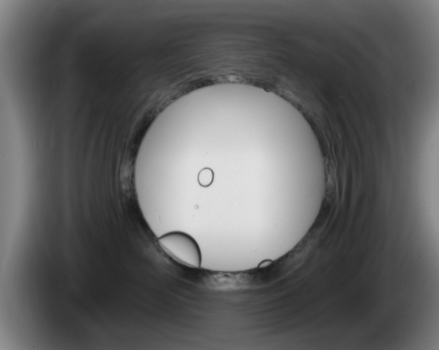 X0000085260526200703090857