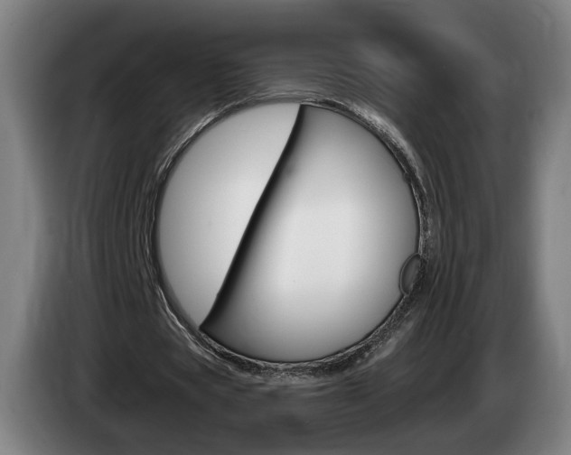 X0000085260529200703090857