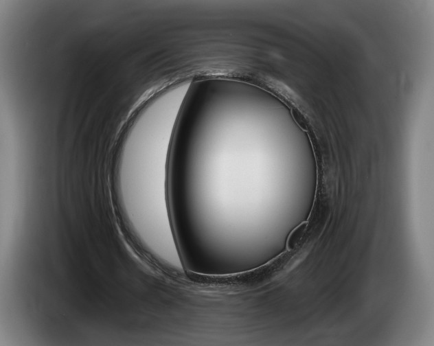 X0000085260530200703090857