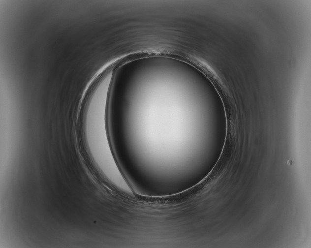 X0000085260532200703090857