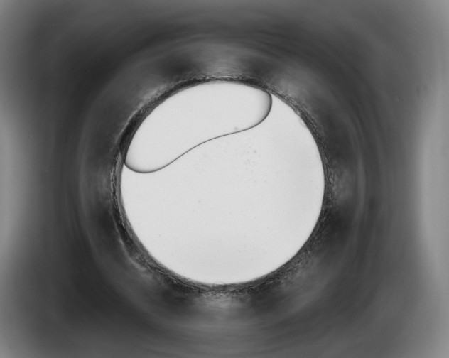 X0000085260534200703090857