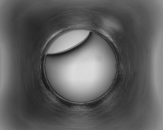 X0000085260535200703090857