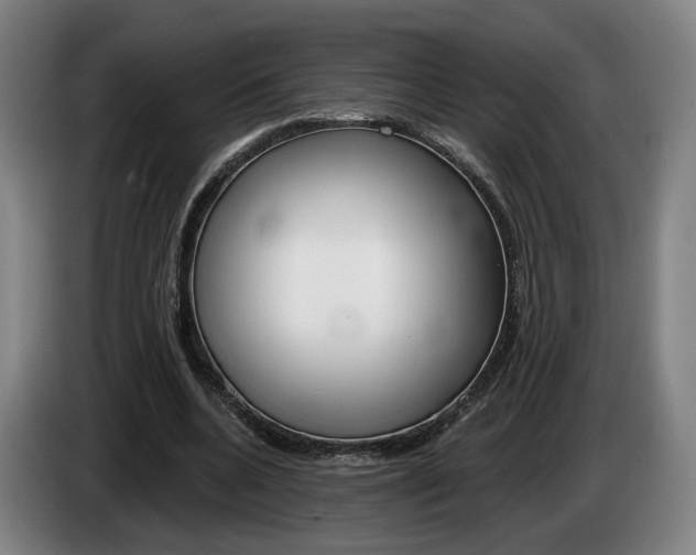 X0000085260536200703090857