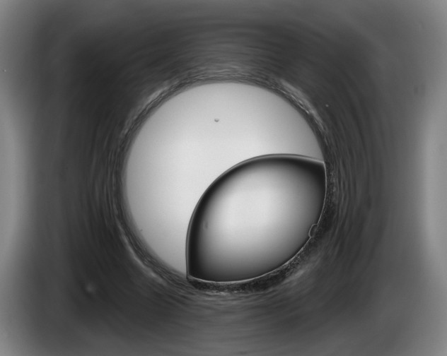 X0000085260538200703090857