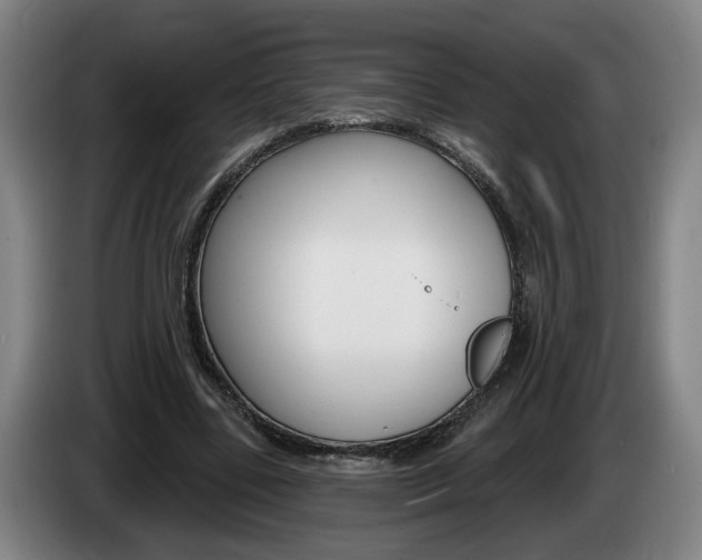 X0000085260539200703090857