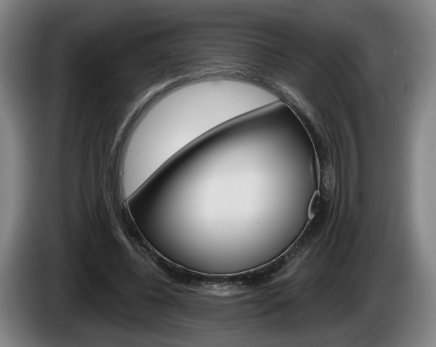 X0000085260540200703090857