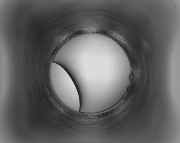 X0000085260541200703090857