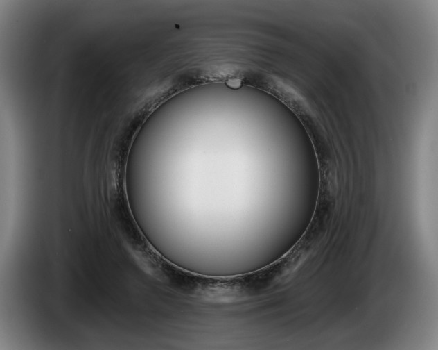 X0000085260546200703090857