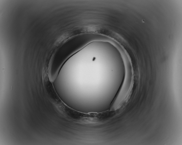 X0000085260552200703090857