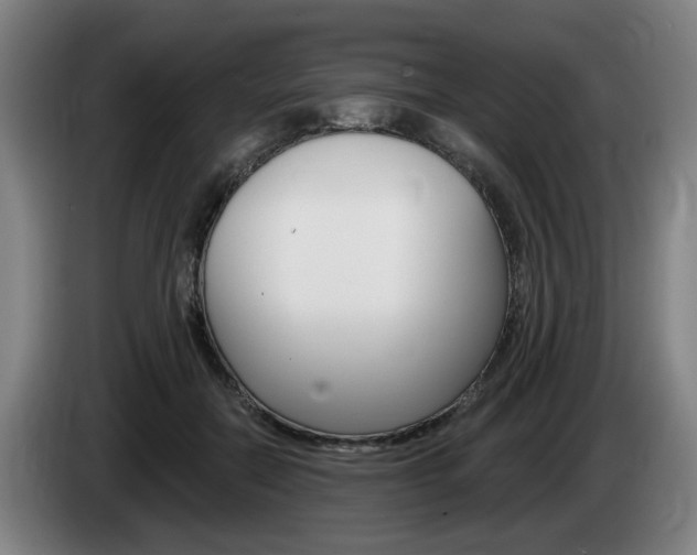 X0000085260554200703090857