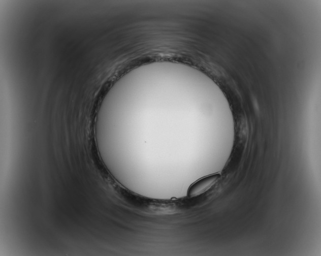 X0000085260559200703090857