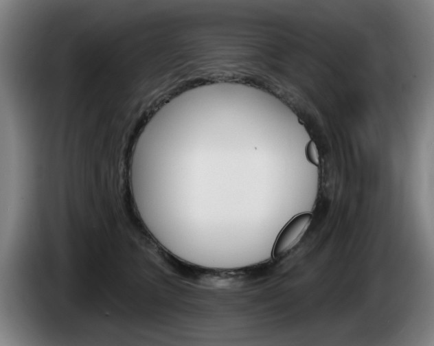 X0000085260563200703090857