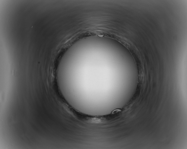 X0000085260566200703090857