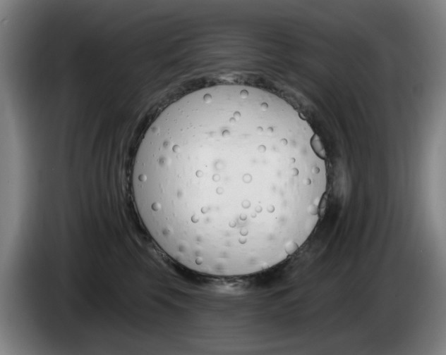 X0000085260569200703090857