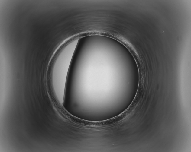 X0000085260580200703090857