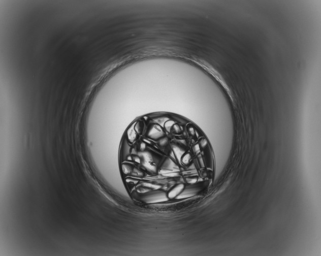 X0000085260581200703090857